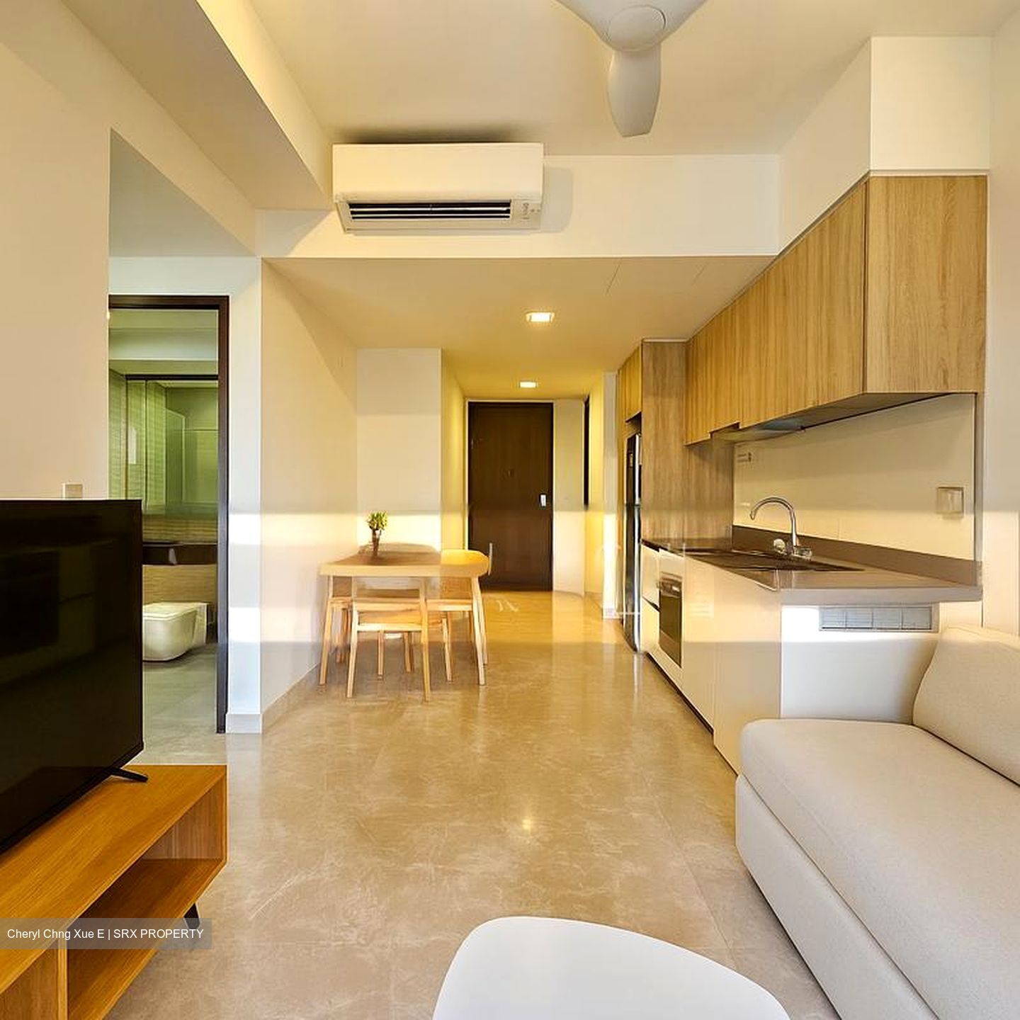 Park Place Residences At Plq (D14), Apartment #501906631